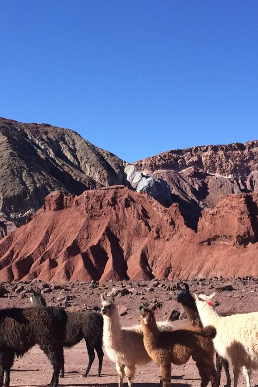 From San Pedro De Atacama: Tour Rainbow Valley - Key Points