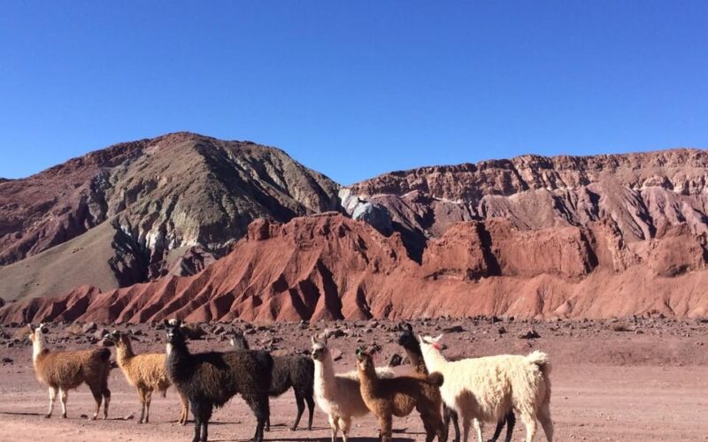 From San Pedro De Atacama: Tour Rainbow Valley - Language and Cancellation