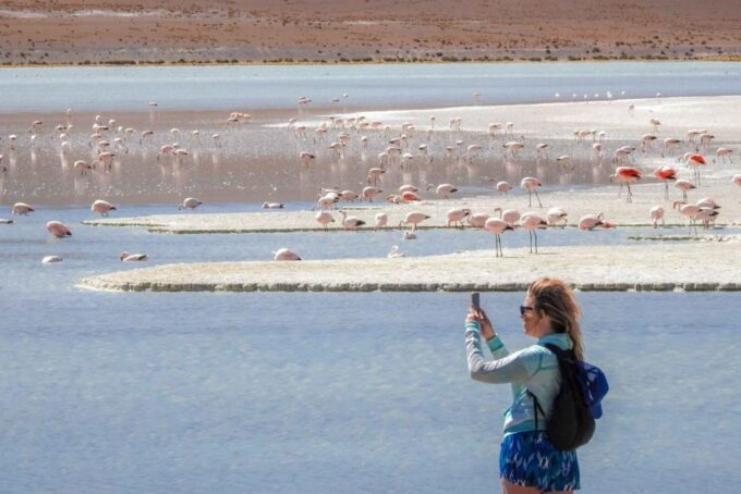 From San Pedro De Atacama | Uyuni Salt Flat 3 Days in Group - Cancellation and Payment