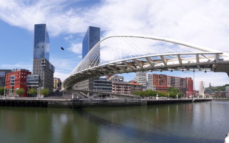 From San Sebastian: Bilbao & Guggenheim Museum Private Tour - Flexibility of Booking