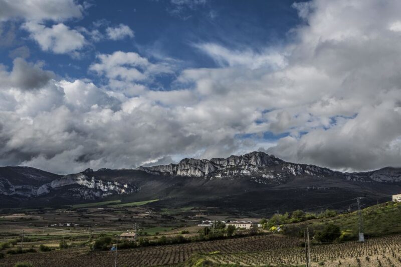 From San Sebastian/Bilbao/Vitoria: La Rioja Wineries Tour - Included in the Tour