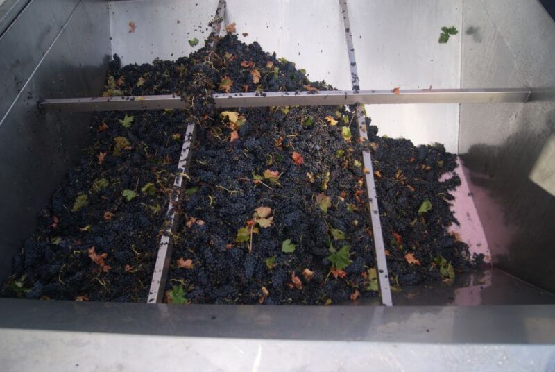 From San Sebastian/Bilbao/Vitoria: La Rioja Wineries Tour - Pricing and Booking