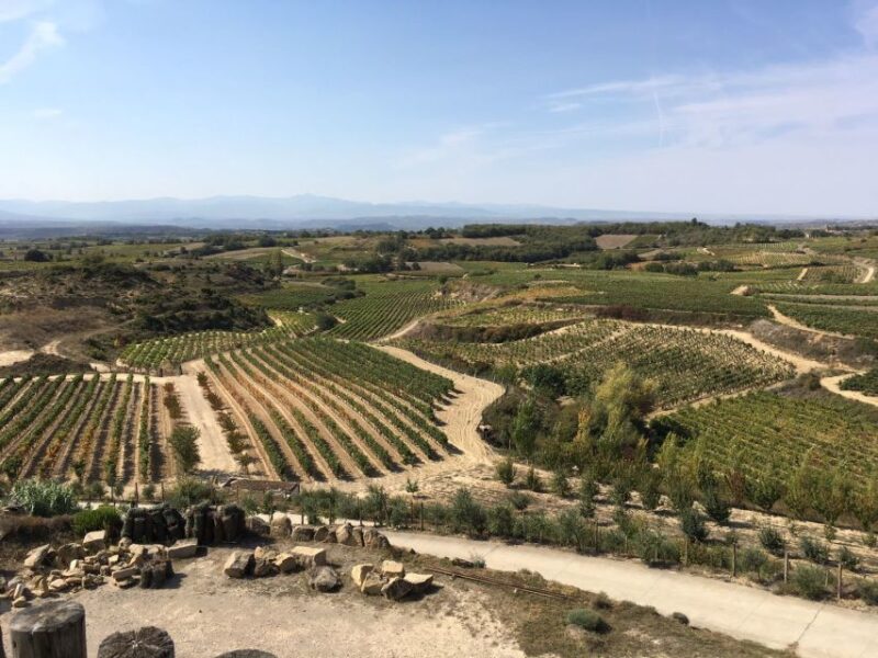 From San Sebastian/Bilbao/Vitoria: Rioja Wine Tour With Lunch - Rioja Wine Sampling