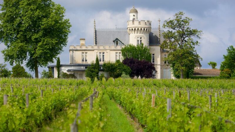 From San Sebastián: Bordeaux & Winery Private Guided Tour - Itinerary Details