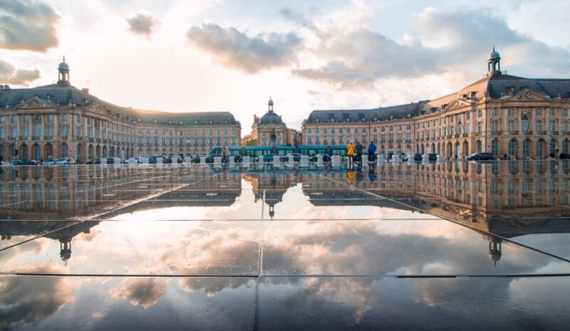 From San Sebastian: Bordeaux & Winery Private Guided Tour - Tour of the Cellar and Vineyards