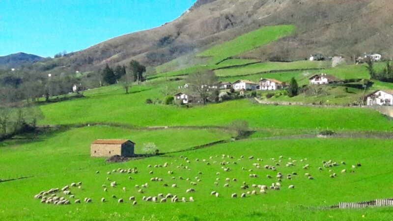 From San Sebastian: French-Basque Countryside Private Tour - Immerse in Local Culture