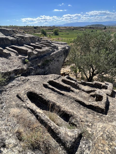 From San Sebastian: Rioja Private Day Trip With Wine Tasting - Family Winery Tour
