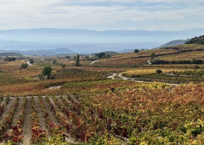 From San Sebastian: Rioja Private Day Trip With Wine Tasting - Booking and Cancellation