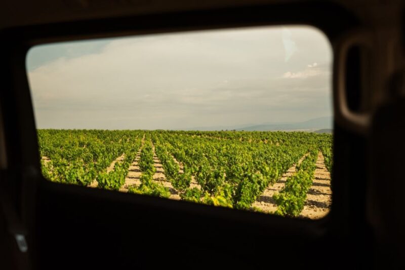 From San Sebastian: Rioja Uncorked - Private Wineries Trip - Contrasting Northern Spain Landscapes