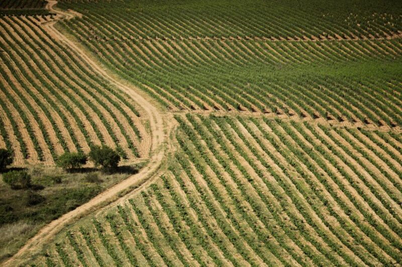 From San Sebastian: Rioja Uncorked - Private Wineries Trip - Laguardia Town and Churches