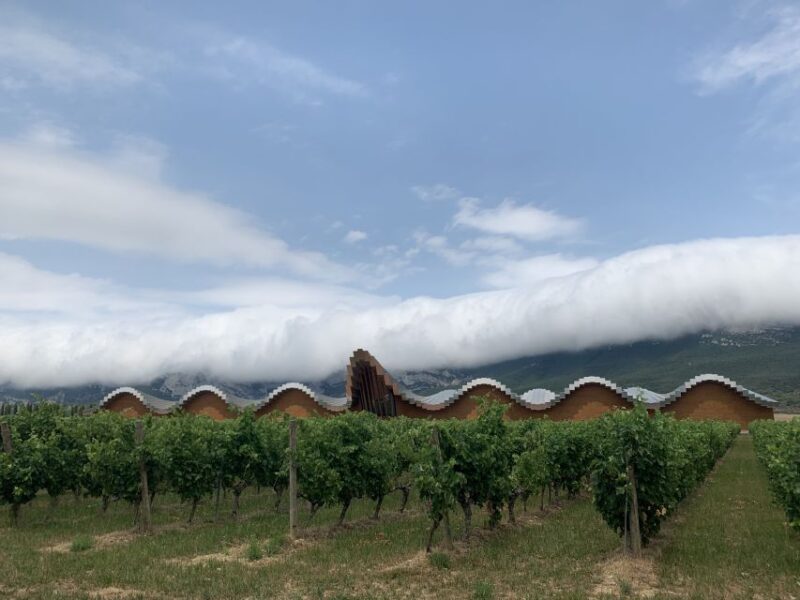 From San Sebastian: Rioja Wine Tour - Key Points