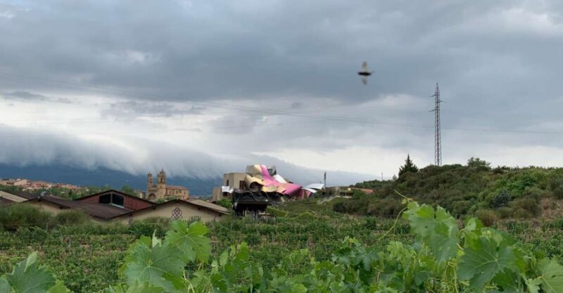 From San Sebastian: Rioja Wine Tour - Tour Description