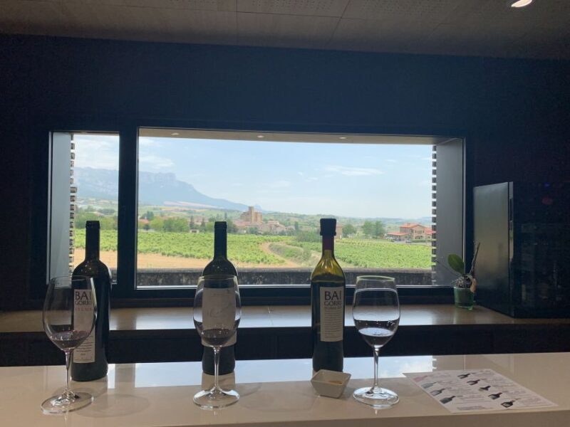 From San Sebastian: Rioja Wine Tour - Tour Inclusions