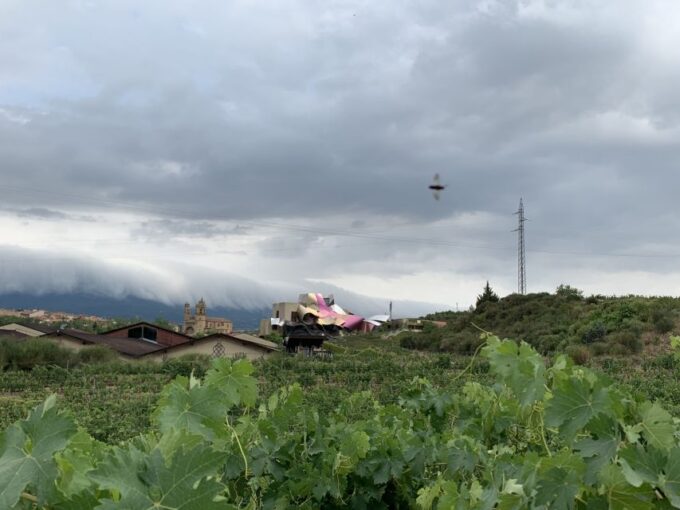 From San Sebastian: Rioja Wine Tour - Historical Wineries in Haro