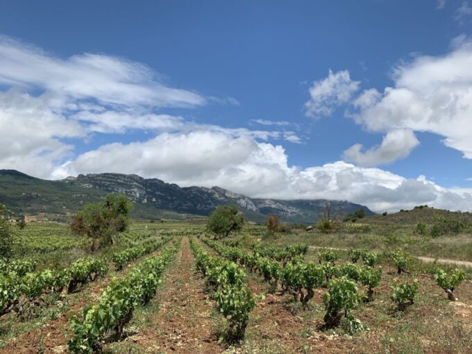From San Sebastian: Rioja Wine Tour - Frequently Asked Questions