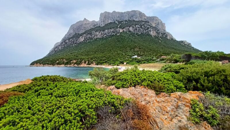 From San Teodoro: Tavolara Archipelago Grand Tour - Customer Reviews