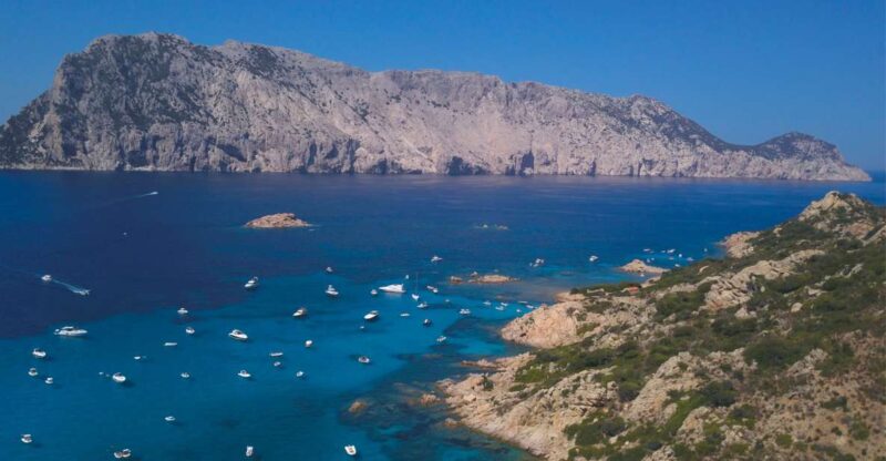 From San Teodoro: Tour to Tavolara, Molara, and Aperitif - Transportation and Meeting Point