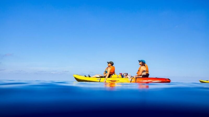 From Sant Elm: Kayak Tour Into the Sunset - Picnic Included - Picnic and Snorkeling Opportunities