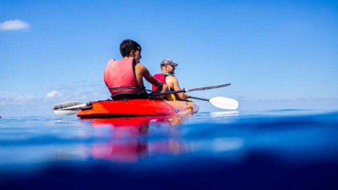 From Sant Elm: Kayak Tour Into the Sunset - Picnic Included - What to Expect From the Guide