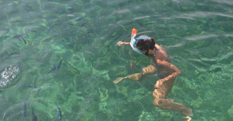 From Santa Guilia GRAND SUD Cruise and Snorkeling Day Trip - Key Points