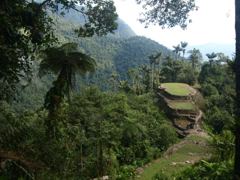 From Santa Marta: 4-Day Lost City Discovery Tour - Participant Restrictions and Recommendations