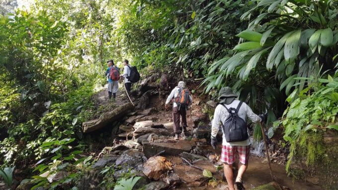 From Santa Marta: 4-Day Lost City Discovery Tour - Explore the Lost City
