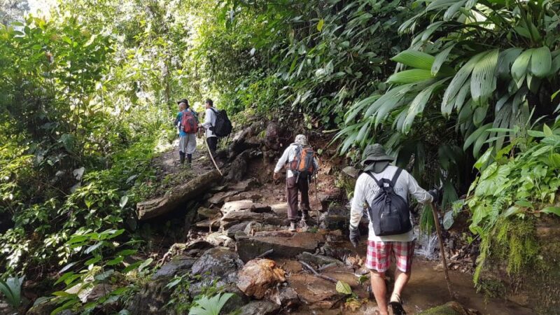 From Santa Marta: 4-Day Lost City Discovery Tour - Participant Restrictions and Recommendations