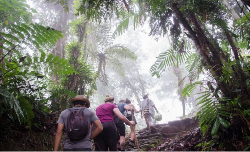 From Santa Marta: Ciudad Perdida 4-day Trek - Included Services