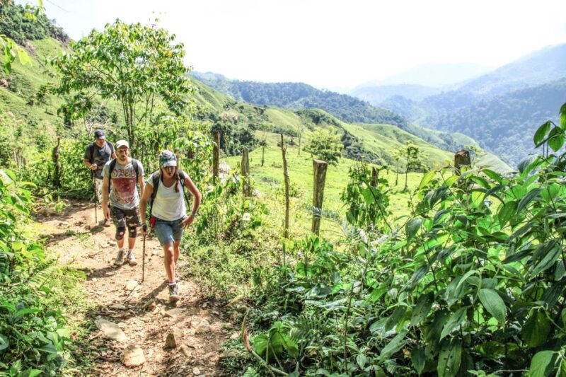 From Santa Marta: Ciudad Perdida 4-day Trek - Customer Feedback