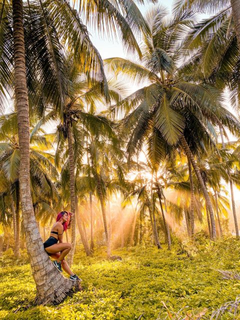 From Santa Marta: Tayrona National Park Guided Tour - Inclusions and Exclusions