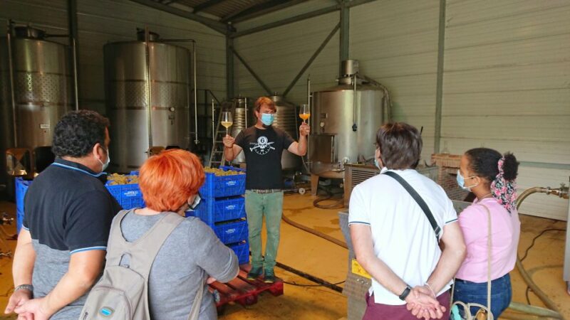From Santander: Gastronomic Tour - Pasiego Valleys Lunch