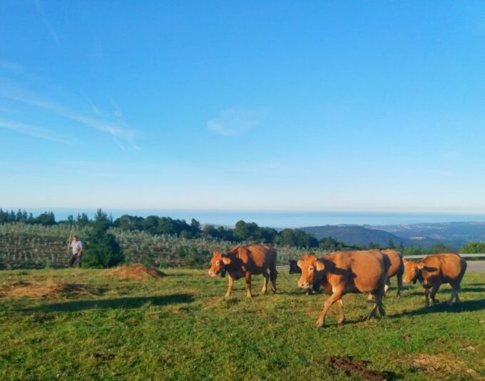 From Santander or Torrelavega: Soplao Cave Excursion - Cave Exploration Experience