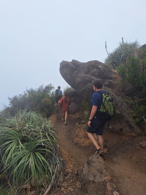 From Santiago: Andes Lookout, Half-Day Hike - Summit of Mount Alto Del Naranjo