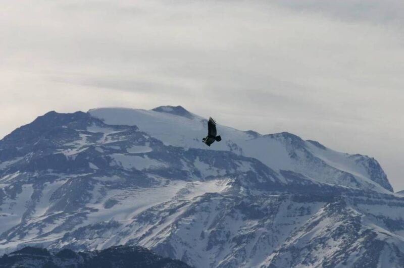 From Santiago: Andes Lookout, Half-Day Hike - Pickup and Transportation