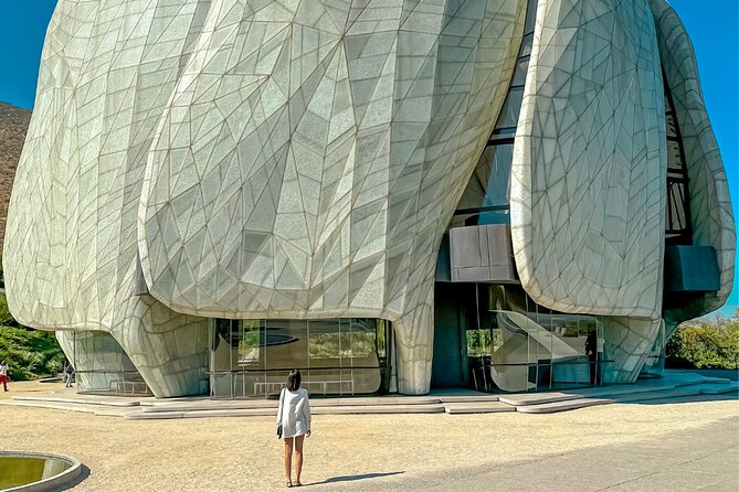 From Santiago: Bahá'í Temple and Cousiño Macul Vineyard - Critique Considerations