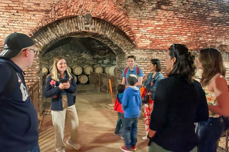 From Santiago: Concha Y Toro Half-Day Winery Tasting Tour - Key Points