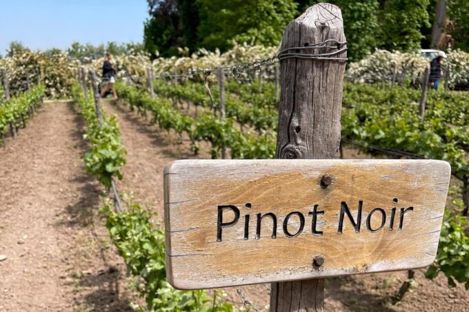 From Santiago: Concha Y Toro Half-Day Winery Tasting Tour - Reservation and Cancellation