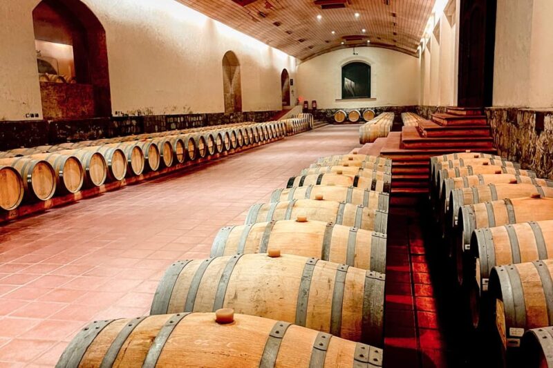 From Santiago: Concha Y Toro Marqués Half-Day Wine Tasting - Tour Features