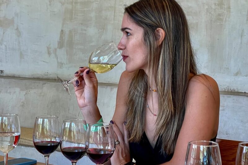 From Santiago: Concha Y Toro Marqués Half-Day Wine Tasting - Inclusions