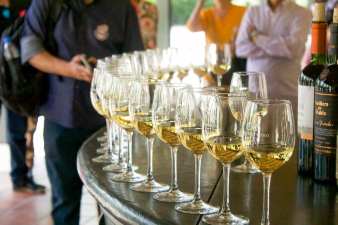 From Santiago: Concha Y Toro Marqués Half-Day Wine Tasting - Customer Reviews
