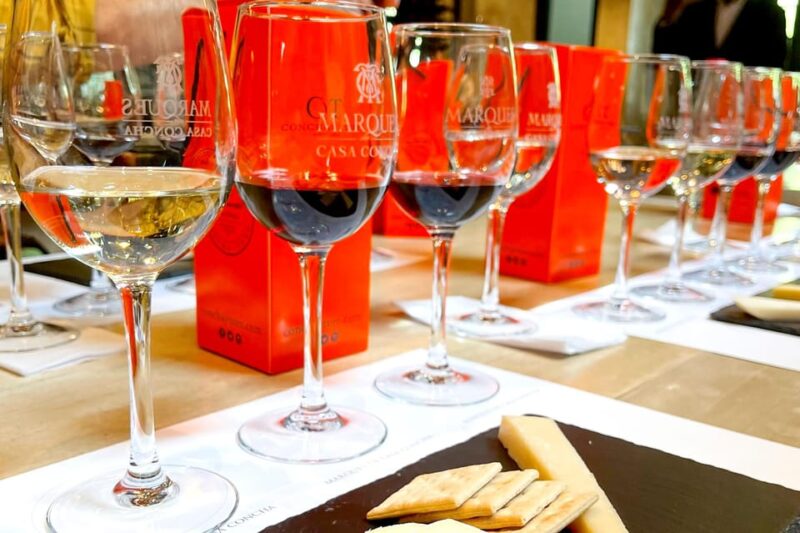 From Santiago: Concha Y Toro Marqués Half-Day Wine Tasting - Experience Highlights