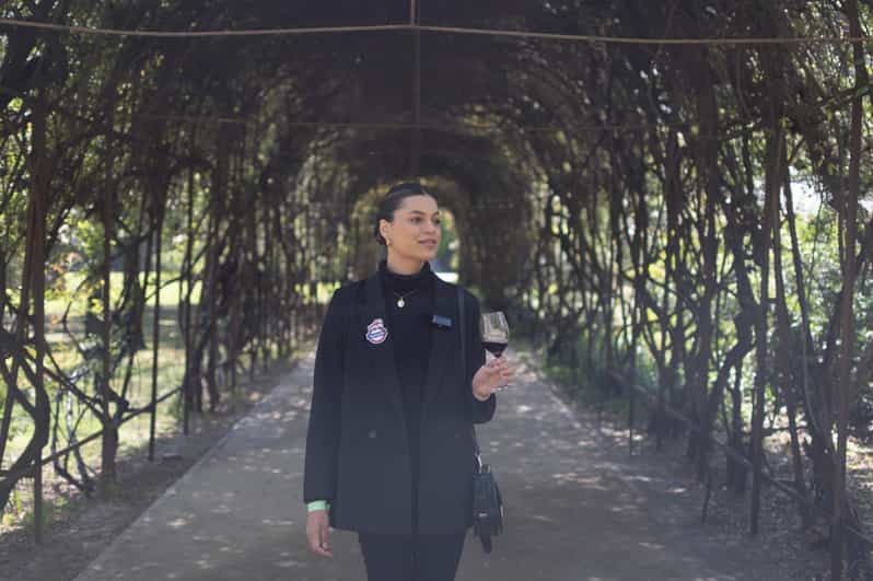 From Santiago: Concha Y Toro Marqués Half-Day Wine Tasting - Inclusions and Accessibility