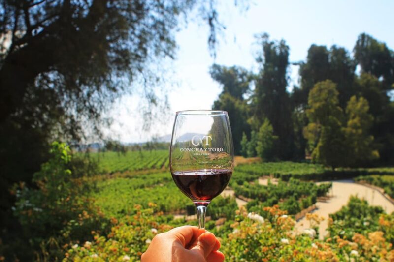 From Santiago: Concha Y Toro Marqués Half-Day Wine Tasting - Meeting Points and Participant Requirements