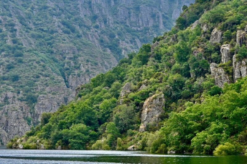 From Santiago: Excursion to Ribeira Sacra and Ourense - Transportation and Inclusions