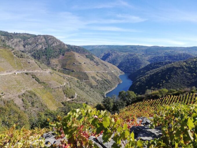 From Santiago: Excursion to Ribeira Sacra and Ourense - Frequently Asked Questions