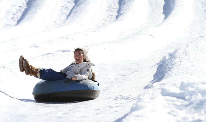 From Santiago: Farellones Park Resort Entry & Ski Classes - Key Points