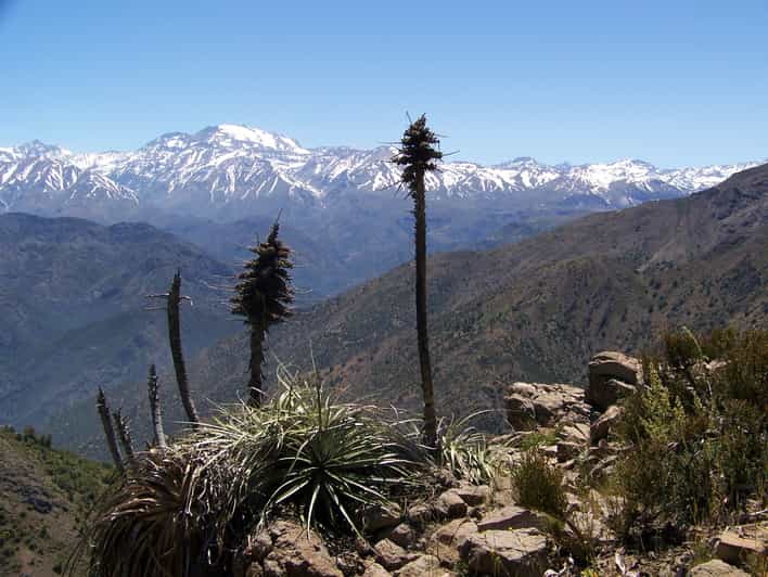 From Santiago: Half-Day Hike in the Andes Mountains - Itinerary Details