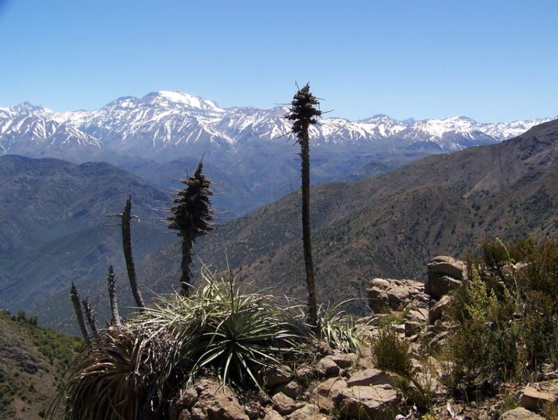 From Santiago: Half-Day Hike in the Andes Mountains - Hiking Experience