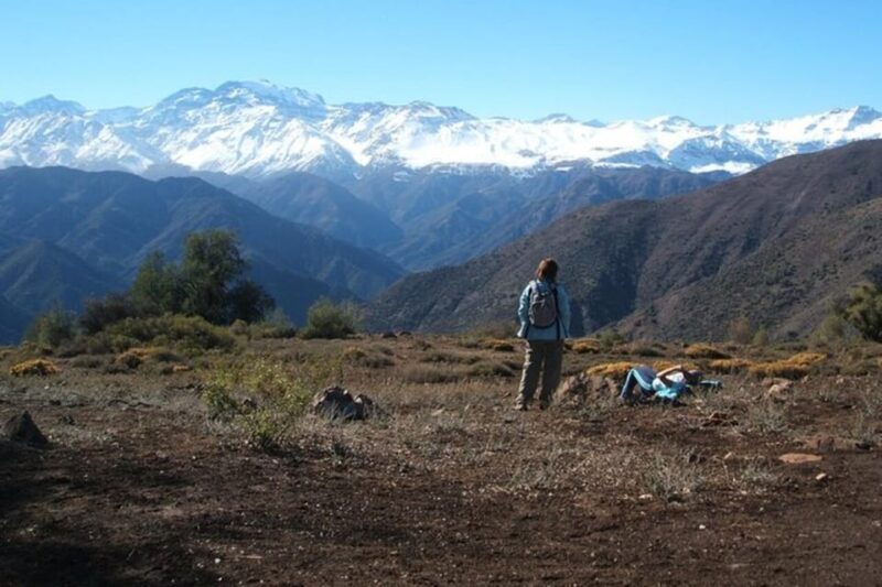 From Santiago: Half-Day Hike in the Andes Mountains - Hiking Duration and Summit