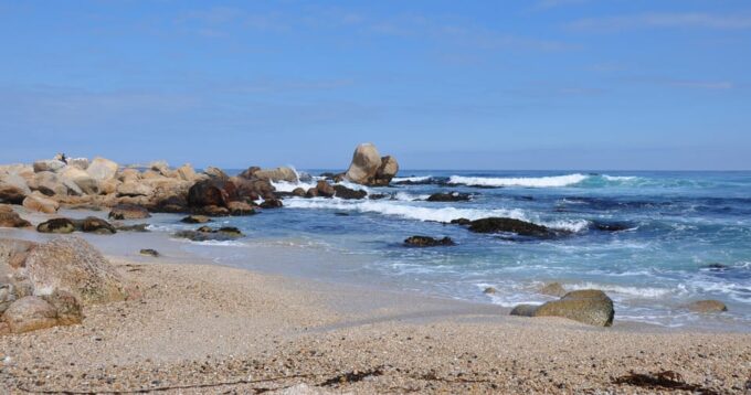 From Santiago: Isla Negra, Pablo Neruda Museum & Winery Tour - Exploring Isla Negra
